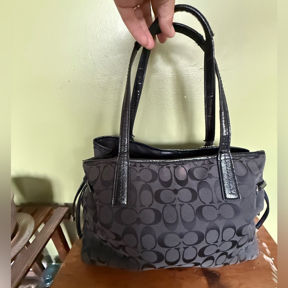 Coach F24882 Dbl Tag Signature Stripe Python Carr… - image 2